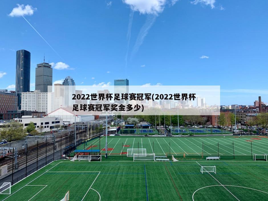 2022世界杯足球赛冠军(2022世界杯足球赛冠军奖金多少)