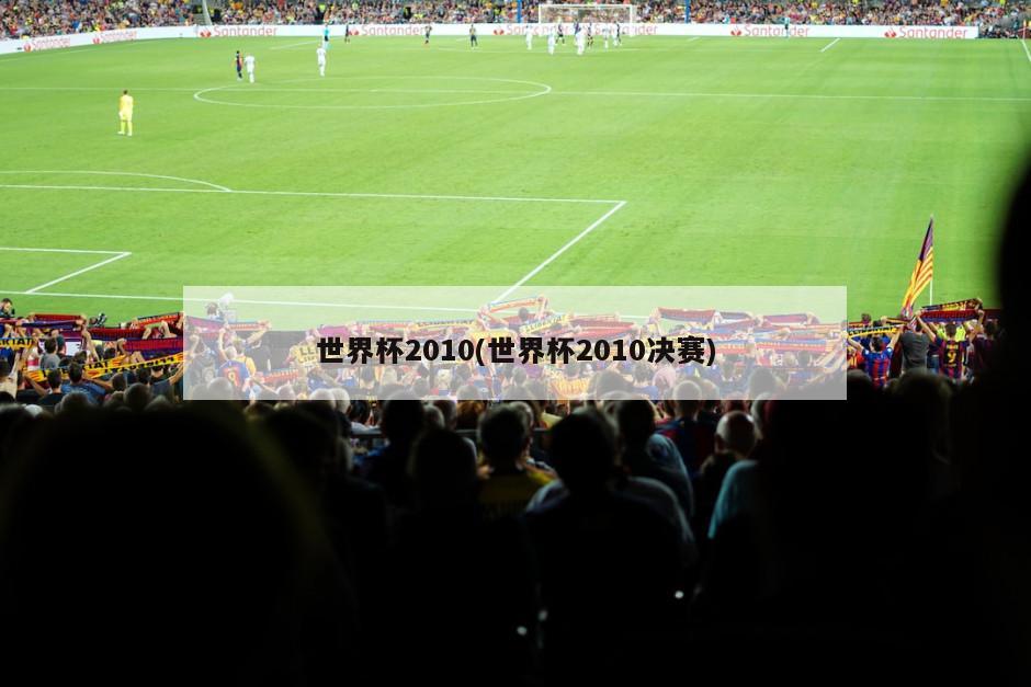 世界杯2010(世界杯2010决赛)