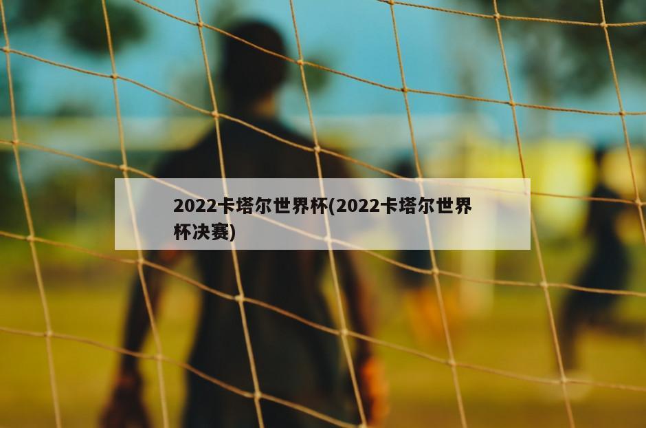 2022卡塔尔世界杯(2022卡塔尔世界杯决赛)